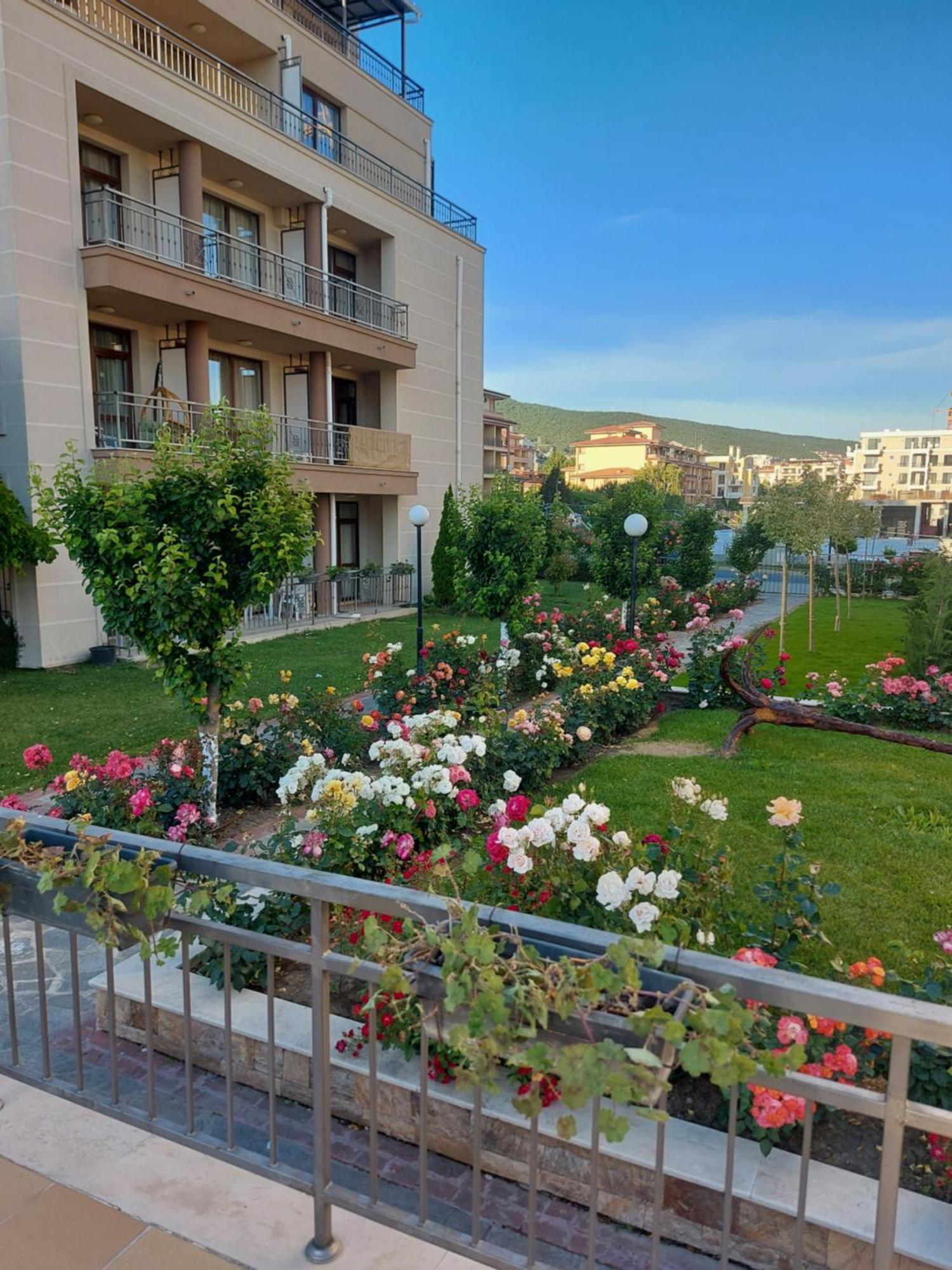 Charming Studio In Sorrento Sole Mare 스베티 블라스 외부 사진